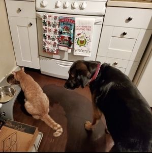 Meet your Posher, Meg